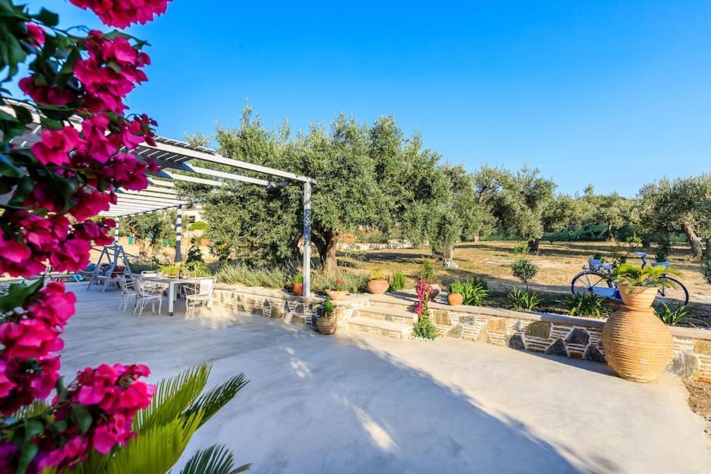Skopelos Blue Heaven Pool Villa In Olive Grove Exterior photo
