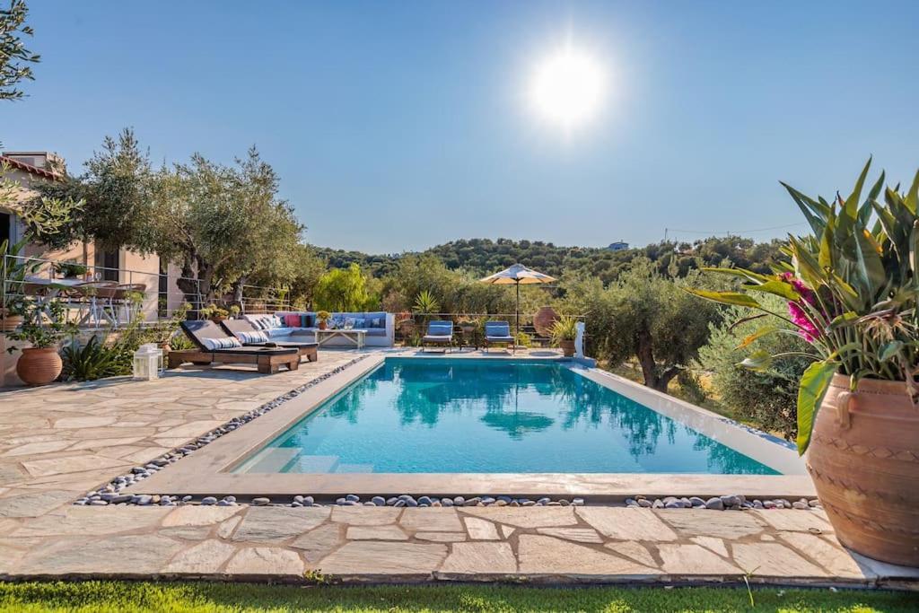 Skopelos Blue Heaven Pool Villa In Olive Grove Exterior photo